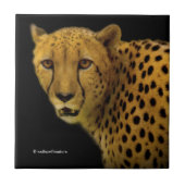 Handelsschauen mit einer prächtigen Geparden Fliese (Vorderseite)