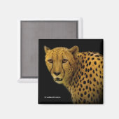 Handelsschauen mit einer prächtigen Geparden Magnet (Vorderseite/Rückseite)