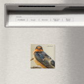 Handelsstares mit einem Schluckloch Magnet (In Situ (Geschirrspüler))