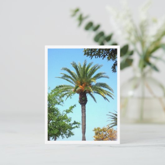 Handfläche Postkarte (Stehend Vorderseite)