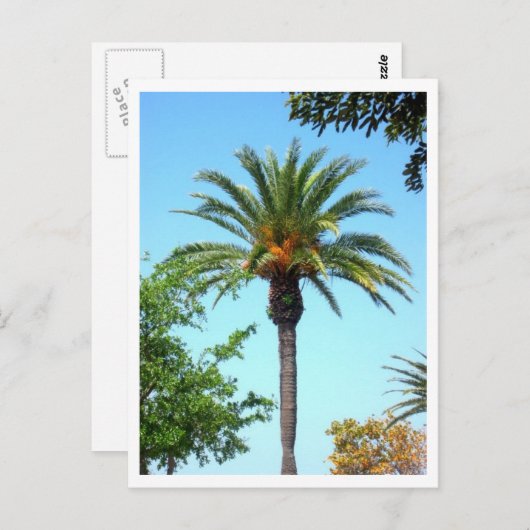 Handfläche Postkarte (Vorne/Hinten)