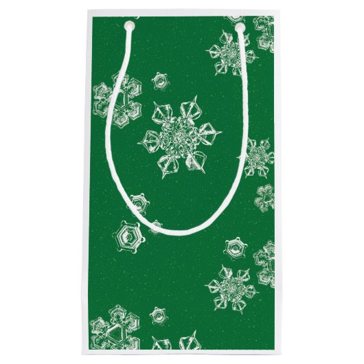 Handgefertigte Schneeflocken-Schauer - Hellgrün un Kleine Geschenktüte (Vorderseite)