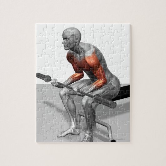 Handgelenke Puzzle (Vertikal)