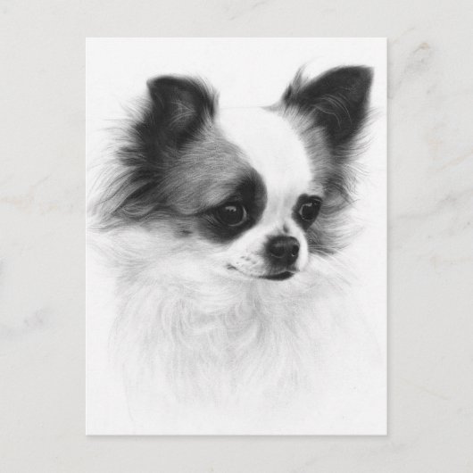Handgemalt Chihuahua Artwork Postkarte (Vorderseite)