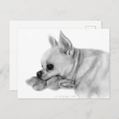 Handgemalt Chihuahua Bela mit Lieblingsspielzeug Postkarte (Vorne/Hinten)