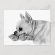 Handgemalt Chihuahua Bela mit Lieblingsspielzeug