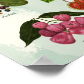 Handgemalt Exotic Filipino Tropical Fruits Poster (Ecke)