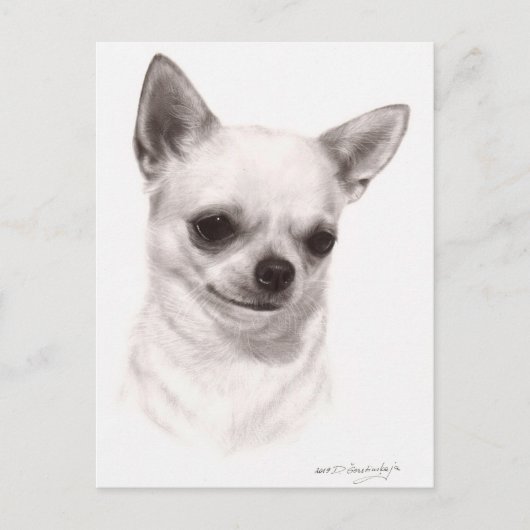 Handgemalt gedankenvoll Chihuahua Postkarte (Vorderseite)