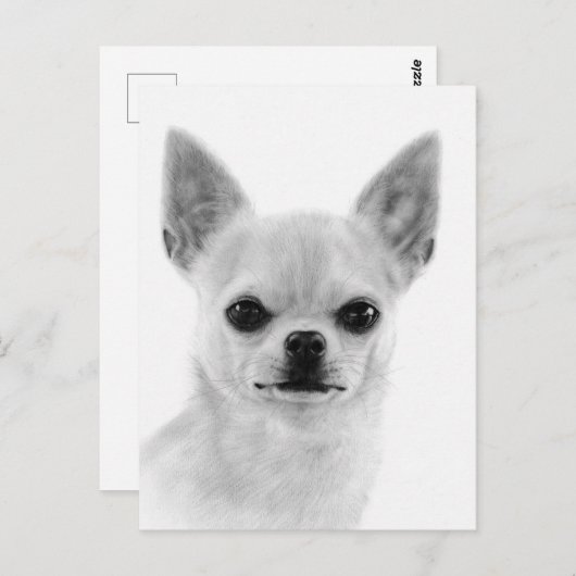 Handgemalt White Chihuahua Artwork Postkarte (Vorne/Hinten)