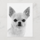 Handgemalt White Chihuahua Artwork Postkarte (Vorderseite)