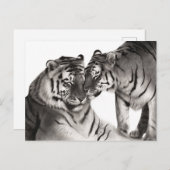 Handgemalte Artwork Postkarte (Vorne/Hinten)