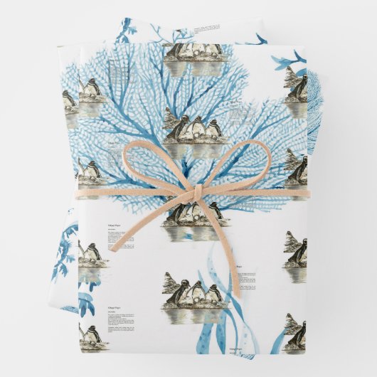 Handgemalte Galapagos-Pinguine Geschenkpapier Set (Beispiel)