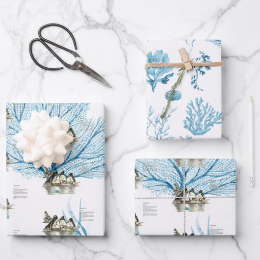Handgemalte Galapagos-Pinguine Geschenkpapier Set (Vorderseite)