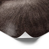 Handgemalte Otters - Zender Moment Wildlife Art Poster (Ecke)