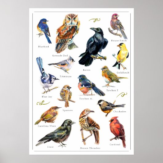 Handgemalte Vögel drucken Poster (Vorne)