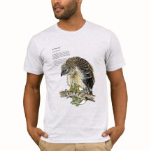 Handgemalter gefährdeter Philippinischer Adler