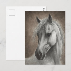 Handgemaltes Weißes Pferd Porträt Postkarte