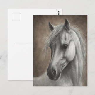 Handgemaltes Weißes Pferd Porträt Postkarte