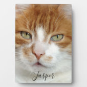 Handgeschriebenes Skript für Foto Fotoplatte (Vorderseite)