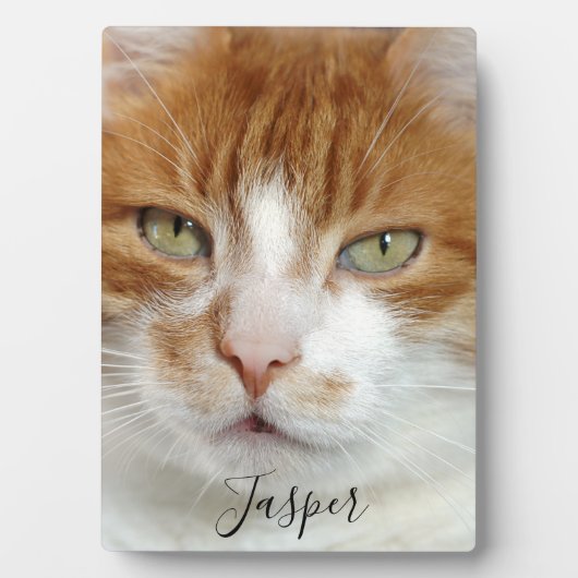 Handgeschriebenes Skript für Foto Fotoplatte (Vorderseite)