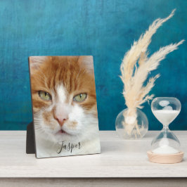 Handgeschriebenes Skript für Foto Fotoplatte