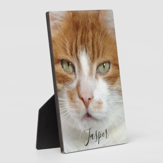 Handgeschriebenes Skript für Foto Fotoplatte (Seite)