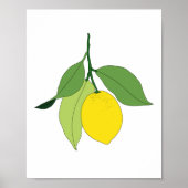 HandGezeichnet Citrus Lemon Zweigstelle Küche Kuns Poster (Vorne)