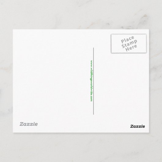 Handgezeichnet - CROCODILE - Konservierung - Repti Postkarte (Rückseite)