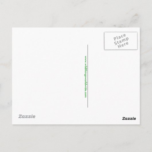 Handgezeichnet - ECHIDNA - Aussie wild lebende Tie Postkarte (Rückseite)