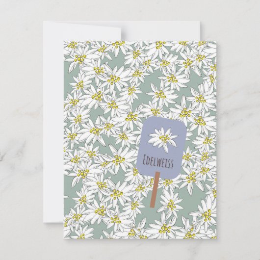 HandGezeichnet Edelweiss Sound of Music Botanical Mitteilungskarte (Vorderseite)