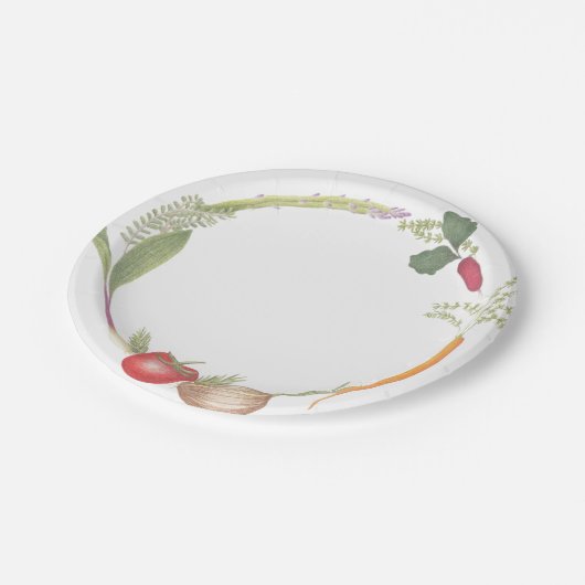 HandGezeichnet Gemüseständer Pappteller (Schrägansicht)