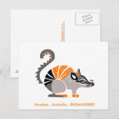 Handgezeichnet - NUMBAT - Marsupial - Australien Postkarte (Vorne/Hinten)