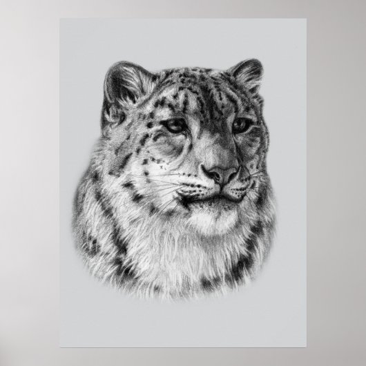 HandGezeichnet Snow Leopard Poster (Vorne)