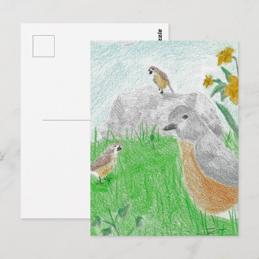 Handgezeichnet Springtime Daffodils Robins Postkarte (Vorne/Hinten)