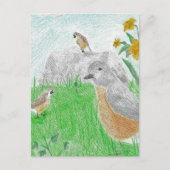 Handgezeichnet Springtime Daffodils Robins Postkarte (Vorderseite)