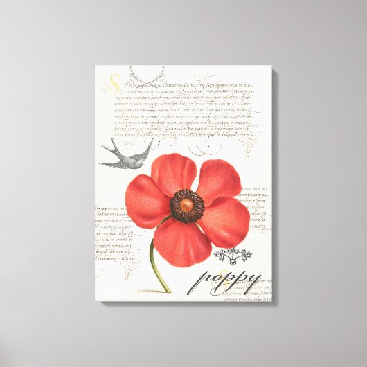 HandGezeichnet Vintage Rote Mohnblume, Leinwand (Vorderseite)