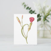 Handgezeichnete blutrosa Dianthus-Blume Postkarte (Stehend Vorderseite)