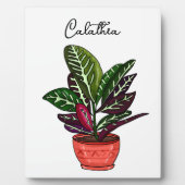 Handgezeichnete Calathea Fotoplatte (Vorderseite)