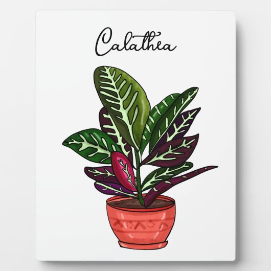 Handgezeichnete Calathea Fotoplatte (Vorderseite)
