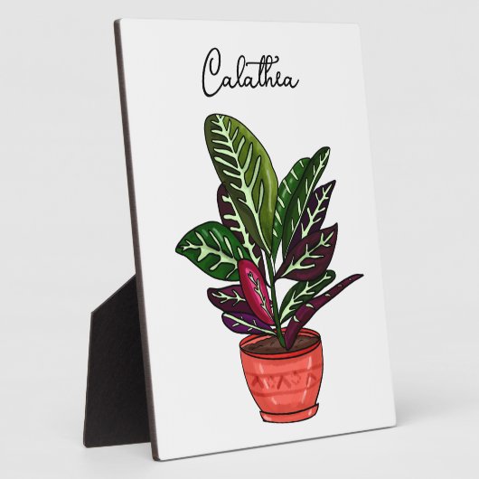 Handgezeichnete Calathea Fotoplatte (Seite)