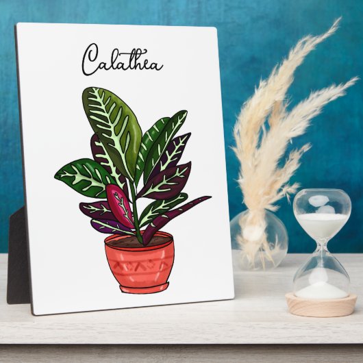 Handgezeichnete Calathea Fotoplatte (Seite)