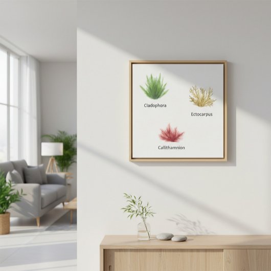 Handgezeichnete Cladophora, Ektocarpus Seetang Leinwanddruck