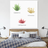 Handgezeichnete Cladophora, Ektocarpus Seetang Leinwanddruck (Insitu (Schlafzimmer))