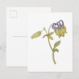 Handgezeichnete gewöhnliche Akelei-Blume Postkarte