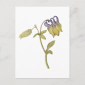 Handgezeichnete gewöhnliche Akelei-Blume Postkarte (Vorderseite)