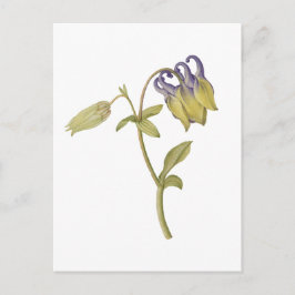 Handgezeichnete gewöhnliche Akelei-Blume Postkarte