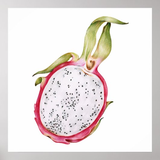 Handgezeichnete Illustration der Drachenfrucht Poster (Vorne)