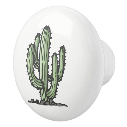 Handgezeichnete Illustration der Kaktus-Pflanze Keramikknauf (Rechts)