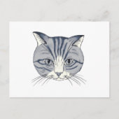 Handgezeichnete Katze Postkarte (Vorderseite)