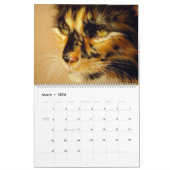 Handgezeichnete Katzen Wildtiere und Haustiere Kalender (Mär 2026)